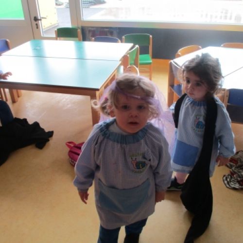img 1913